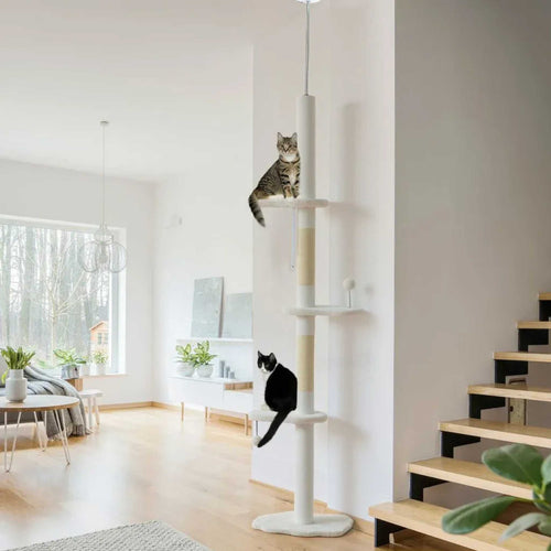 2 cats perched on white fabric floor to ceiling cat tree