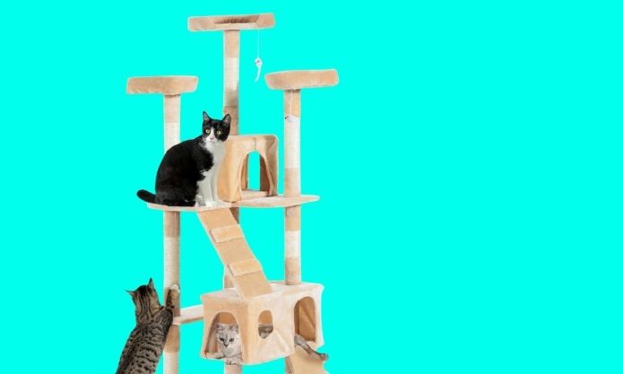 3 cats climbing on beige cat tree