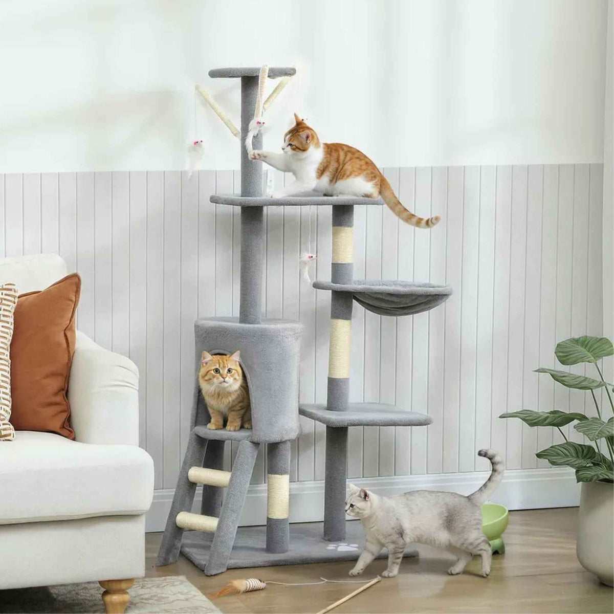 3 cats playing on grey fabric cat tree n living room