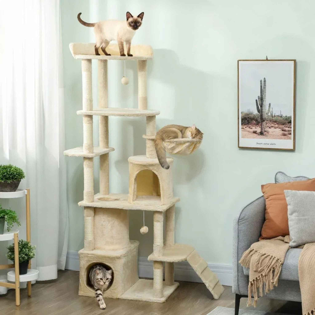3 cats playing and resting on large beige cat tree