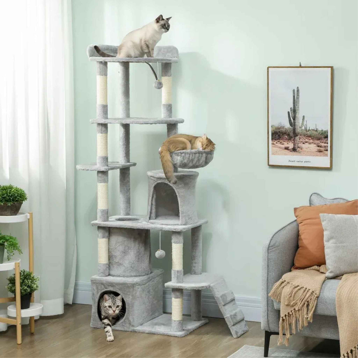 3 cats playing and resting on large grey cat tree