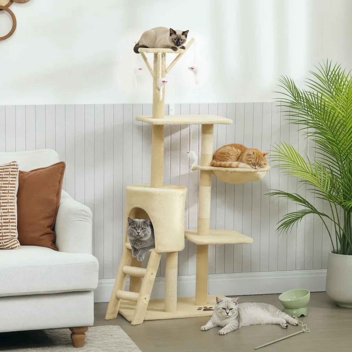 4 cats playing on beige fabric cat tree in living room