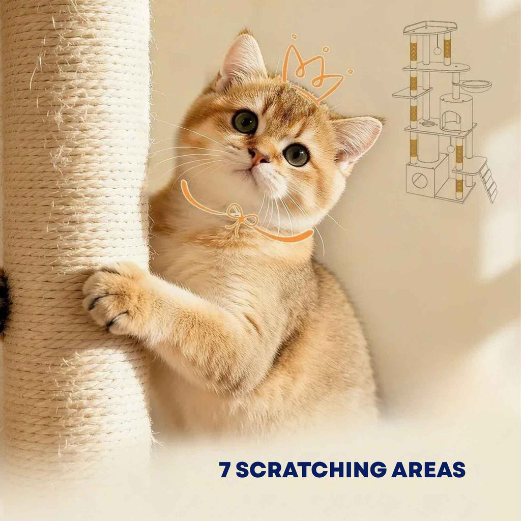 7 scratching areas