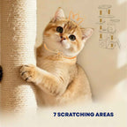 7 scratching areas