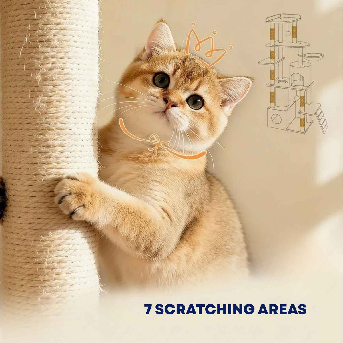 7 scratching areas