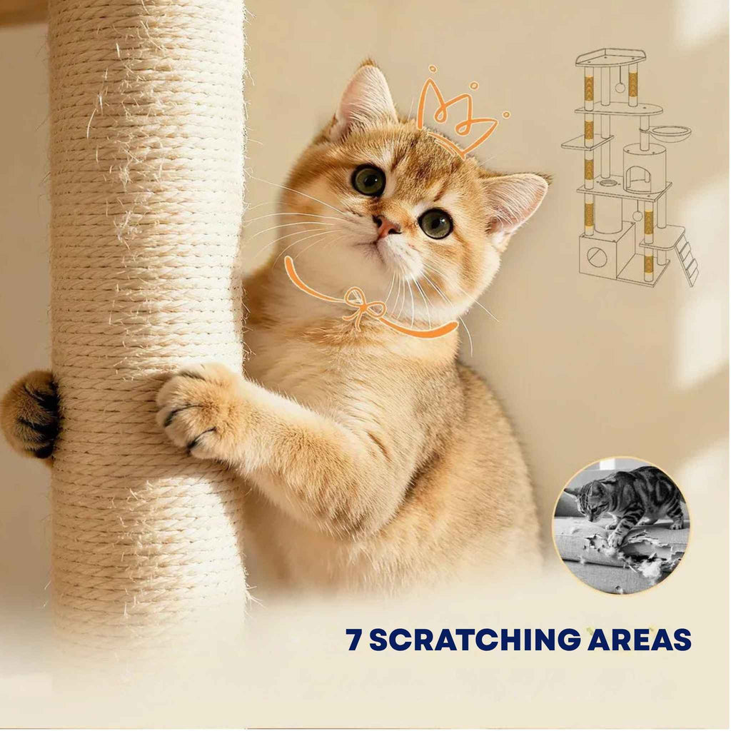 7 scratching posts