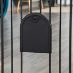 Black cat door in open position