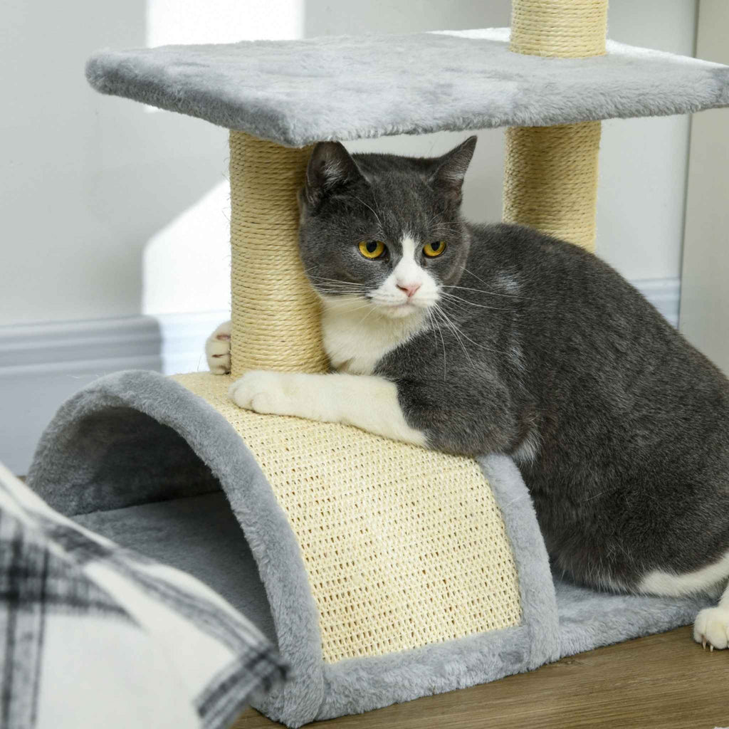 British shorthair cat scratching curved sisal rope surface