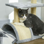 British shorthair cat scratching curved sisal rope surface