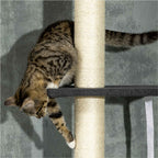 Cat climbing between two platforms of black 270cm tall cat tree