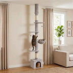 Cat climbing floor to ceiling cat tree in living room