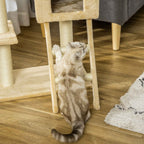 Cat climbing a cat tree ladder