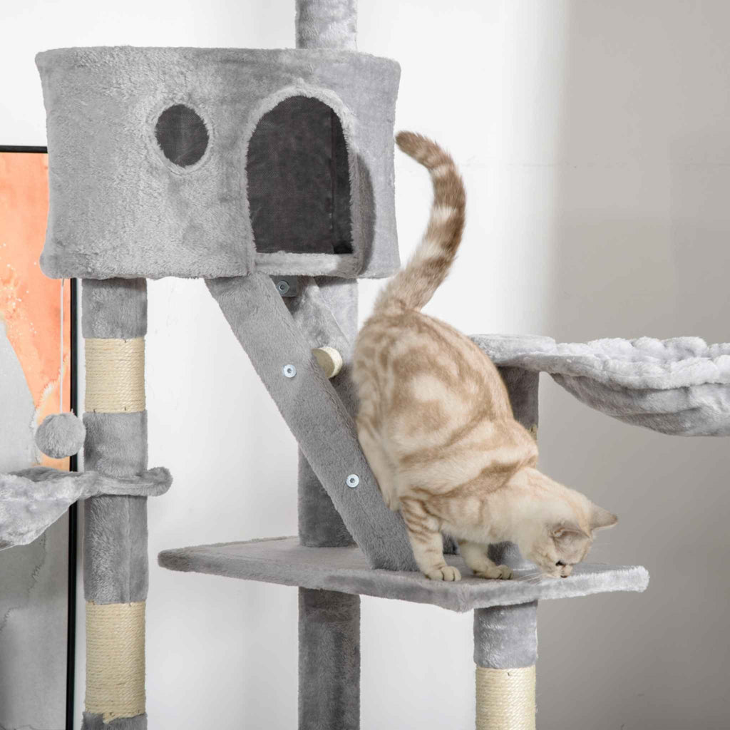Cat climbing ladder on grey cat tower