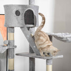 Cat climbing ladder on grey cat tower