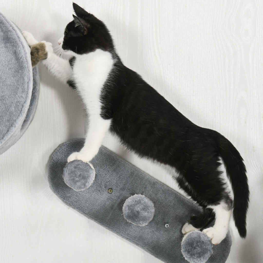 Cat climbing on wall mounted scratcher