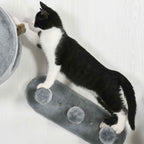 Cat climbing on wall mounted scratcher
