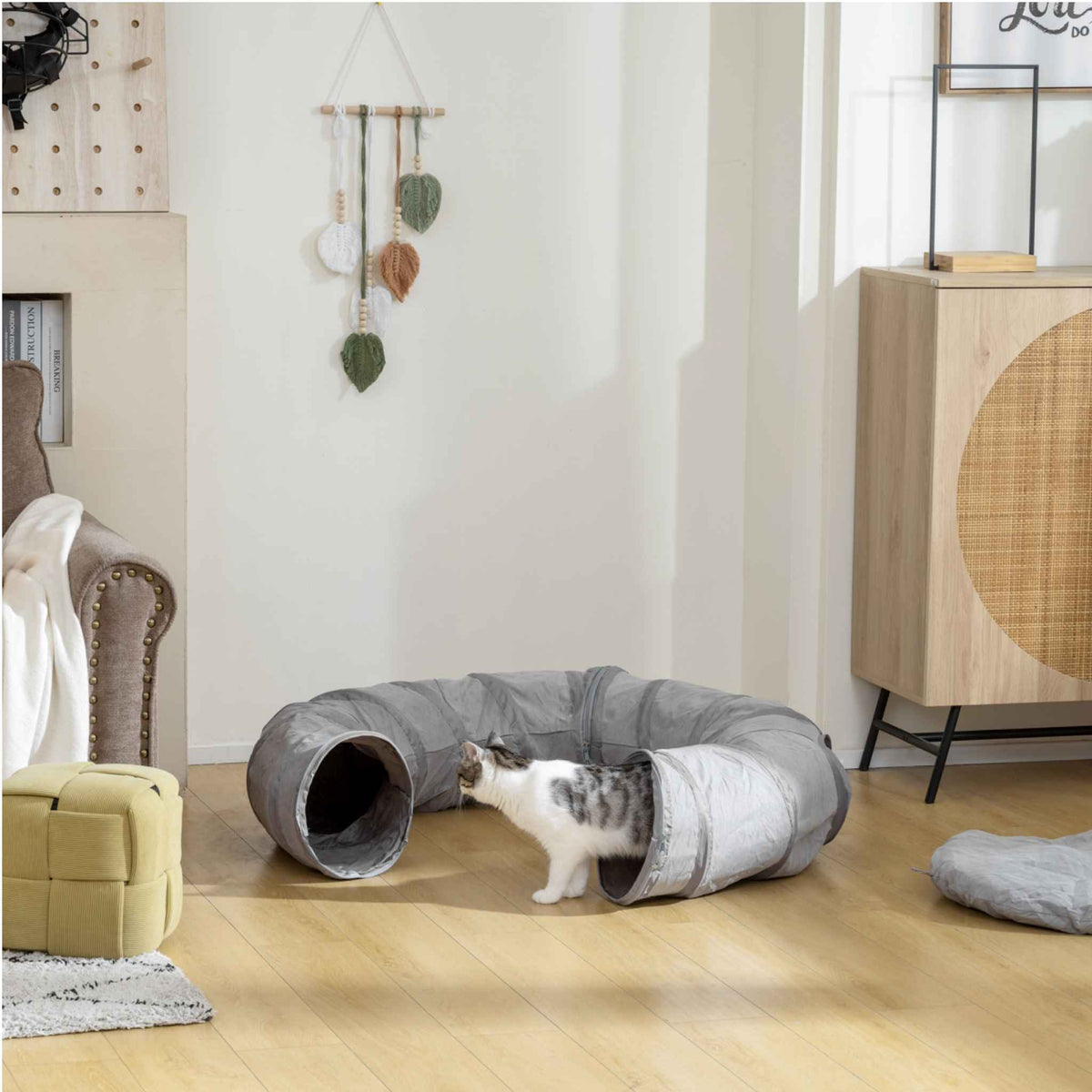 Cat exiting play tunnel