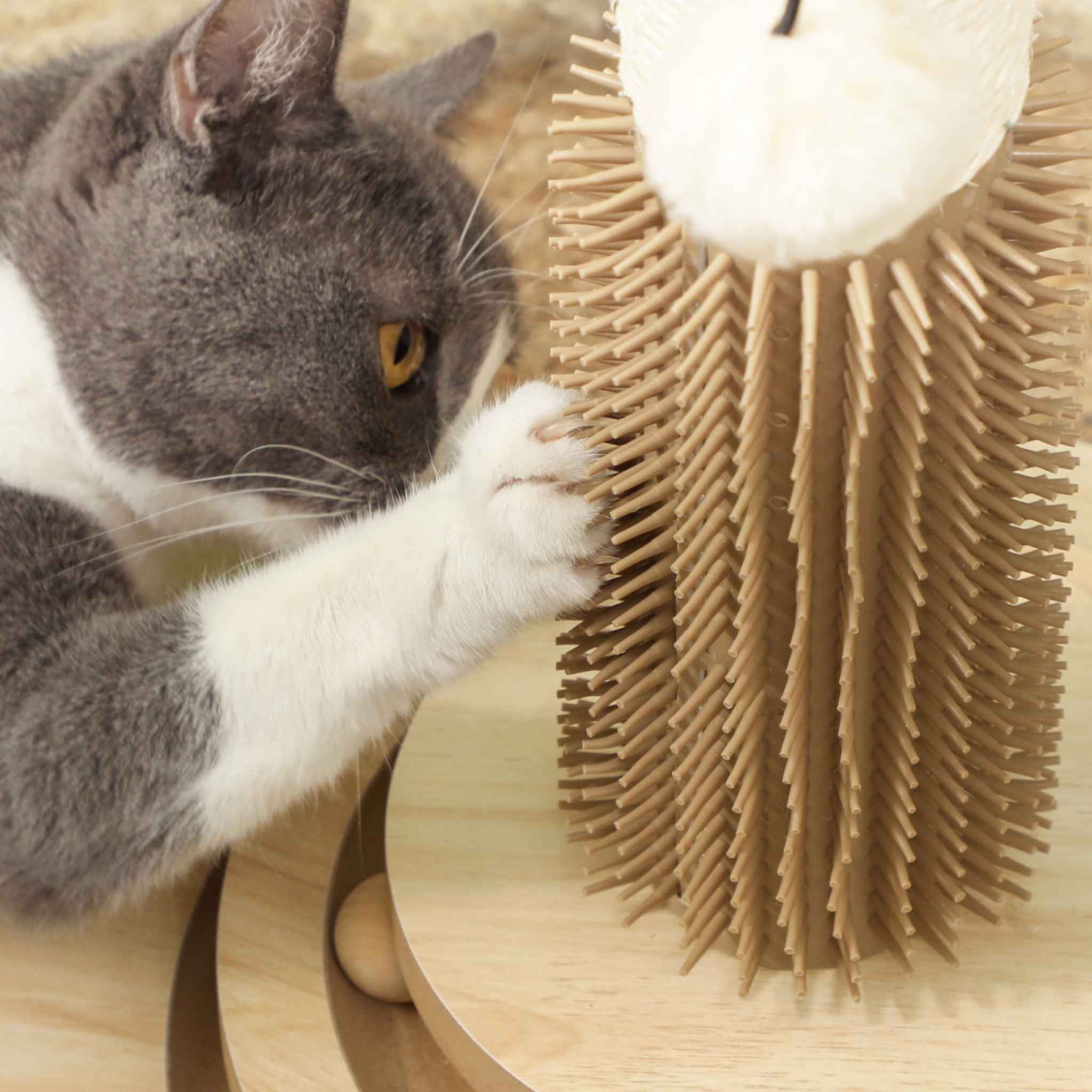 Cat grooming itself on scratching post