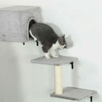 Cat in at house on wall mounted cat tree