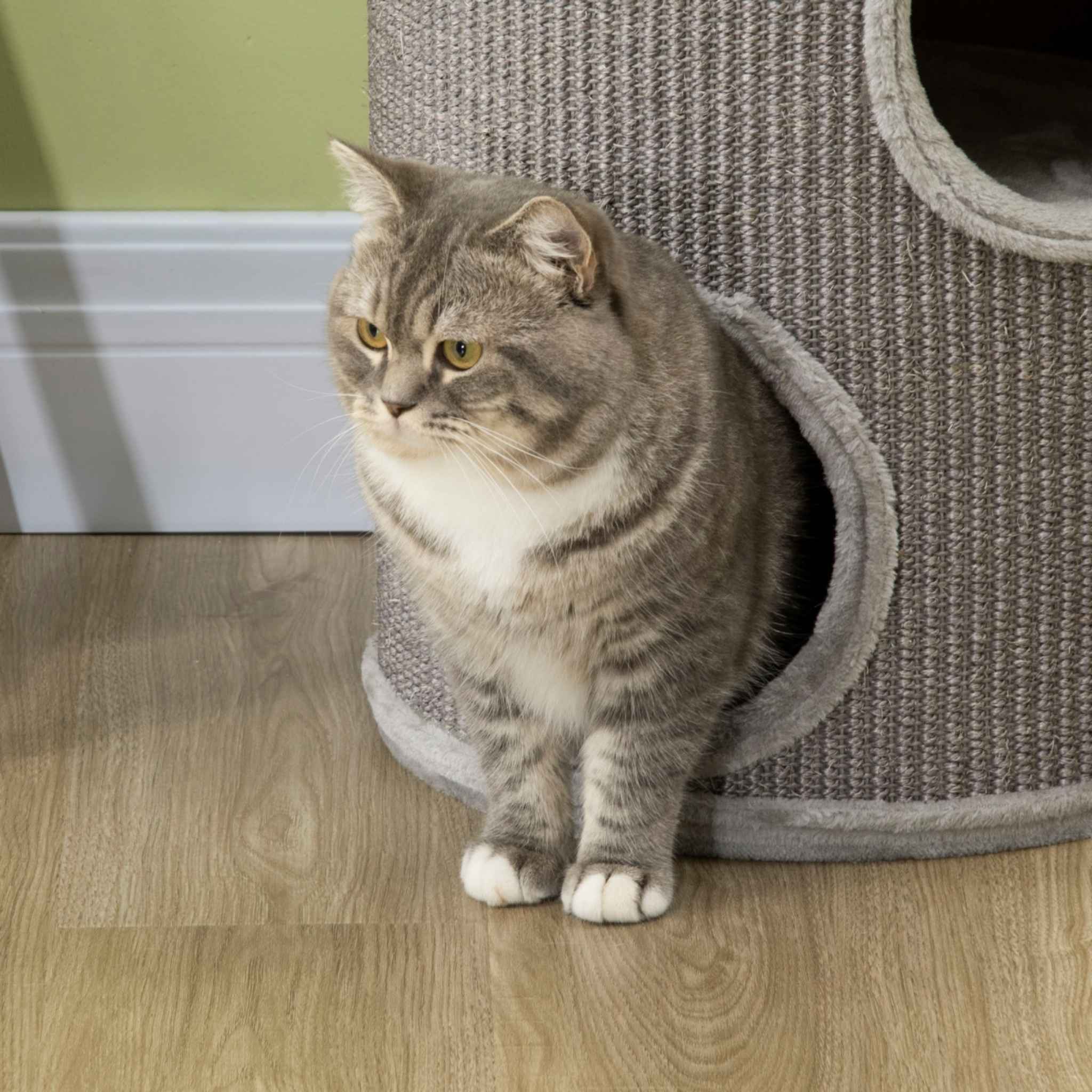 Cat in grey scratching barrel hideaway
