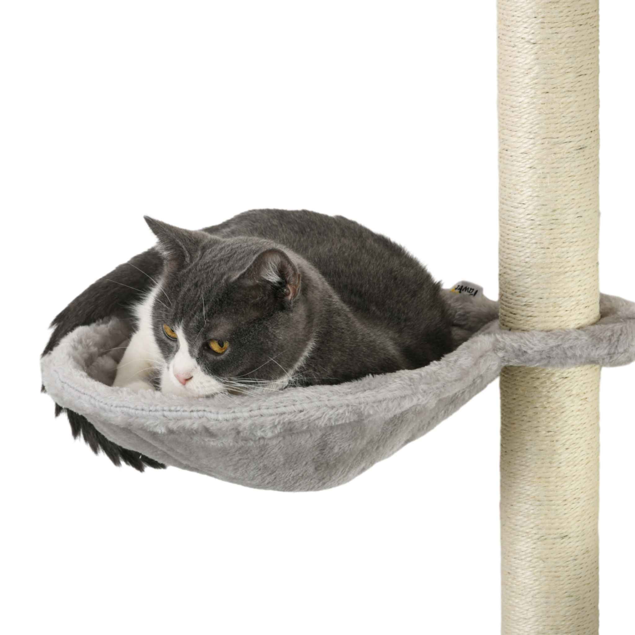 Cat laying in cat tree bed