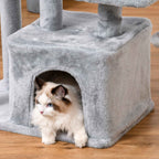 Cat laying in grey cat tree house