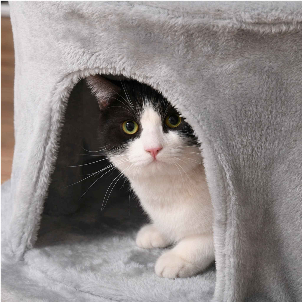 Cat laying in house on grey cat tree