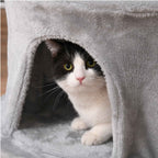 Cat laying in house on grey cat tree
