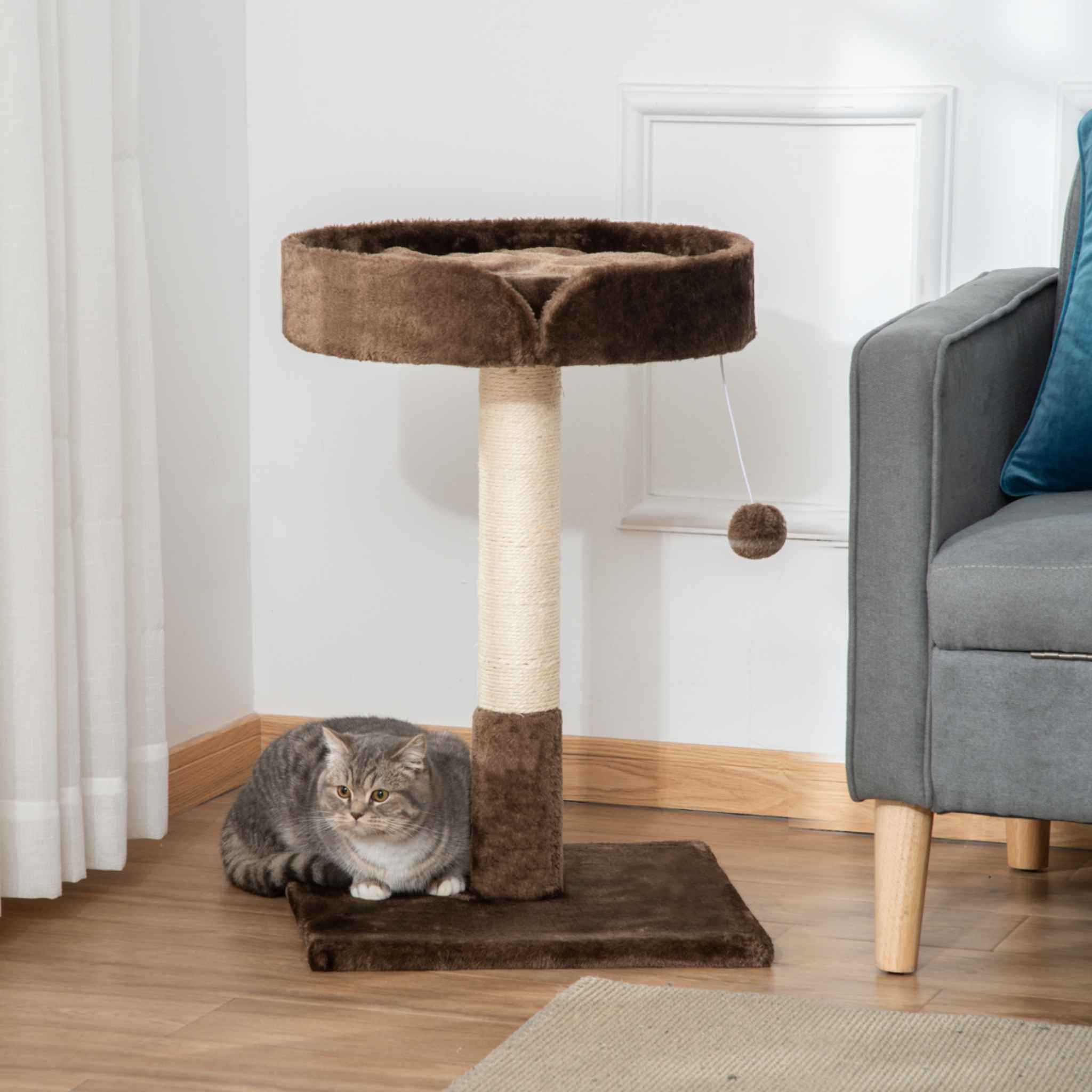 Cat laying on bottom level of small cat tree