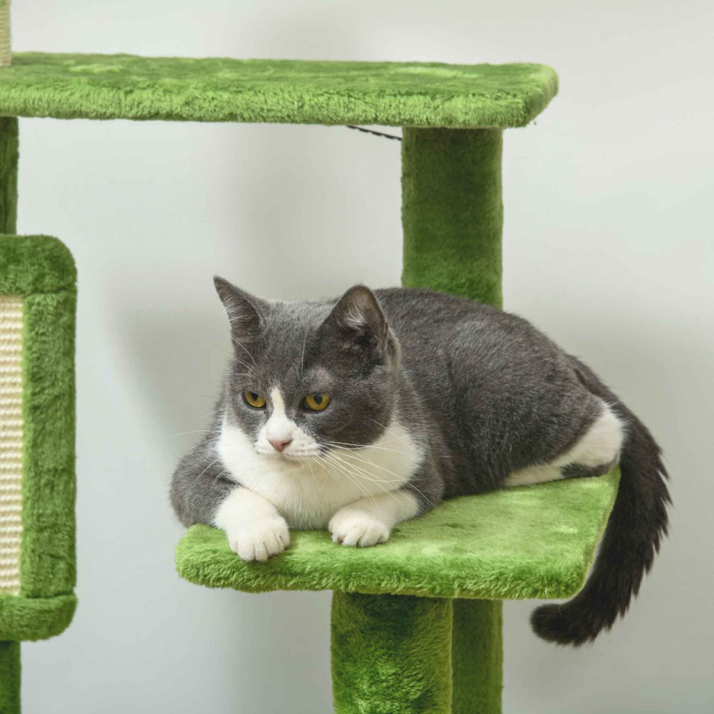 Cat laying on green cat tree perch