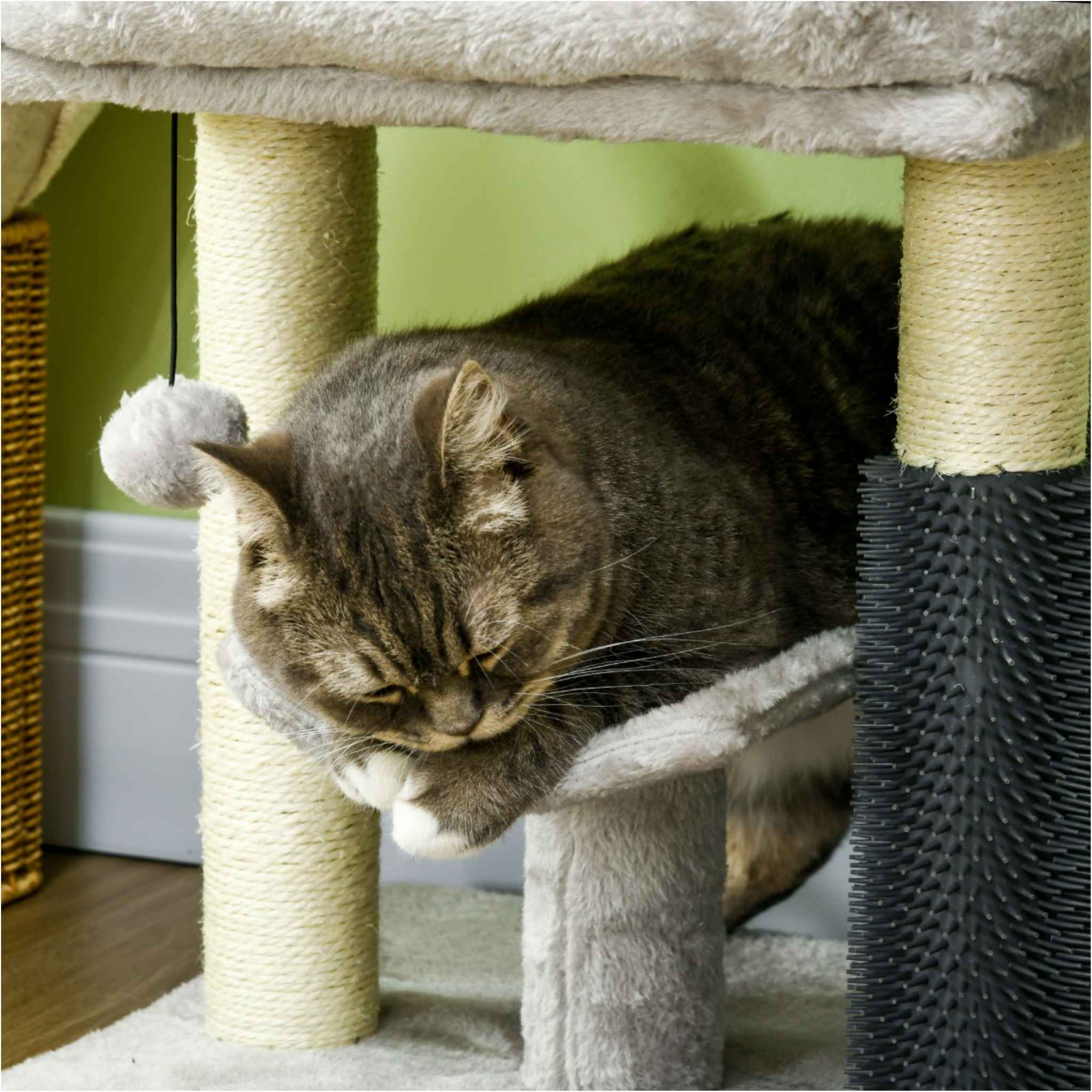 Cat laying on small cat tree perch