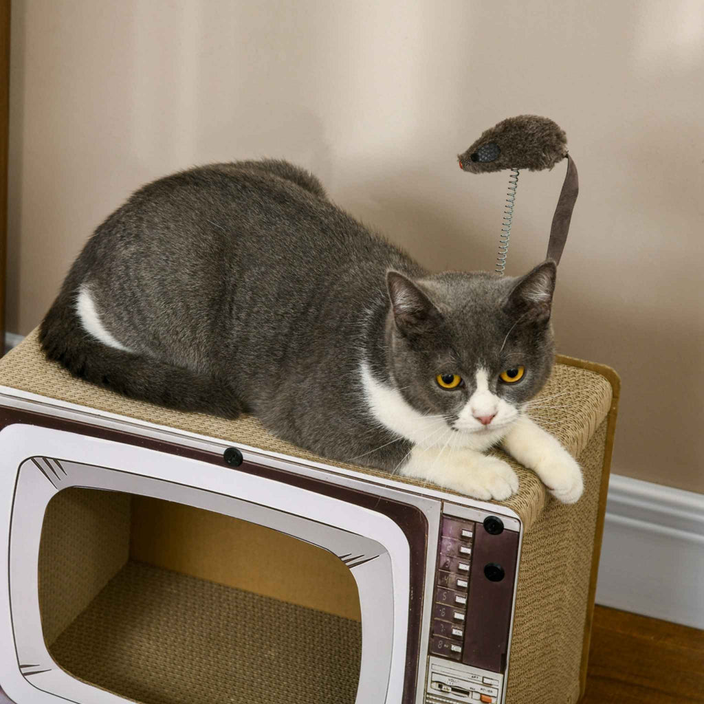 Cat laying on top of TV shaped cat scratcher