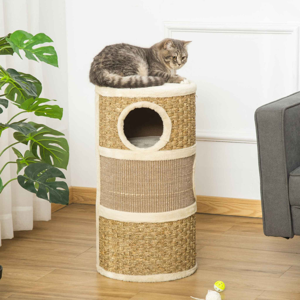 Cat laying on top perch of barrel
