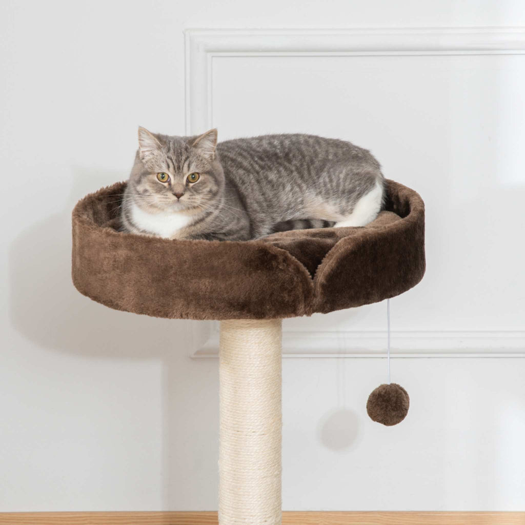 Cat laying on top perc of small cat tree