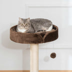 Cat laying on top perc of small cat tree
