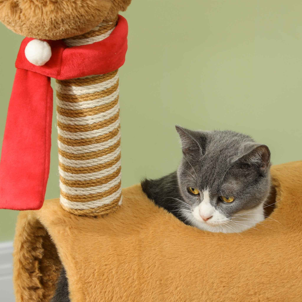 Cat looking at reindeer scratching post