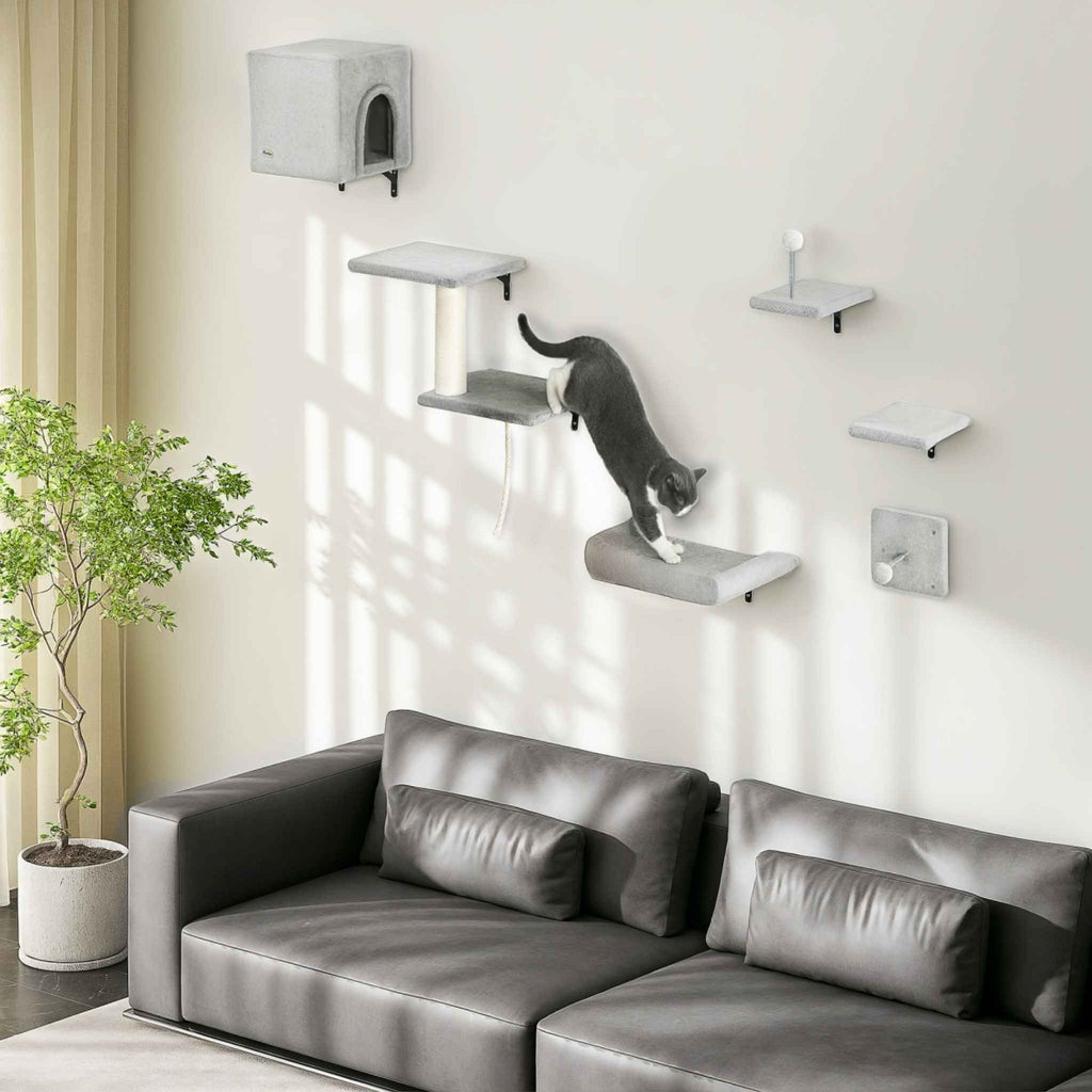 Cat playing on 6pcs wall mounted cat tree