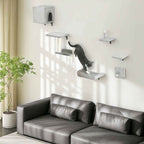 Cat playing on 6pcs wall mounted cat tree