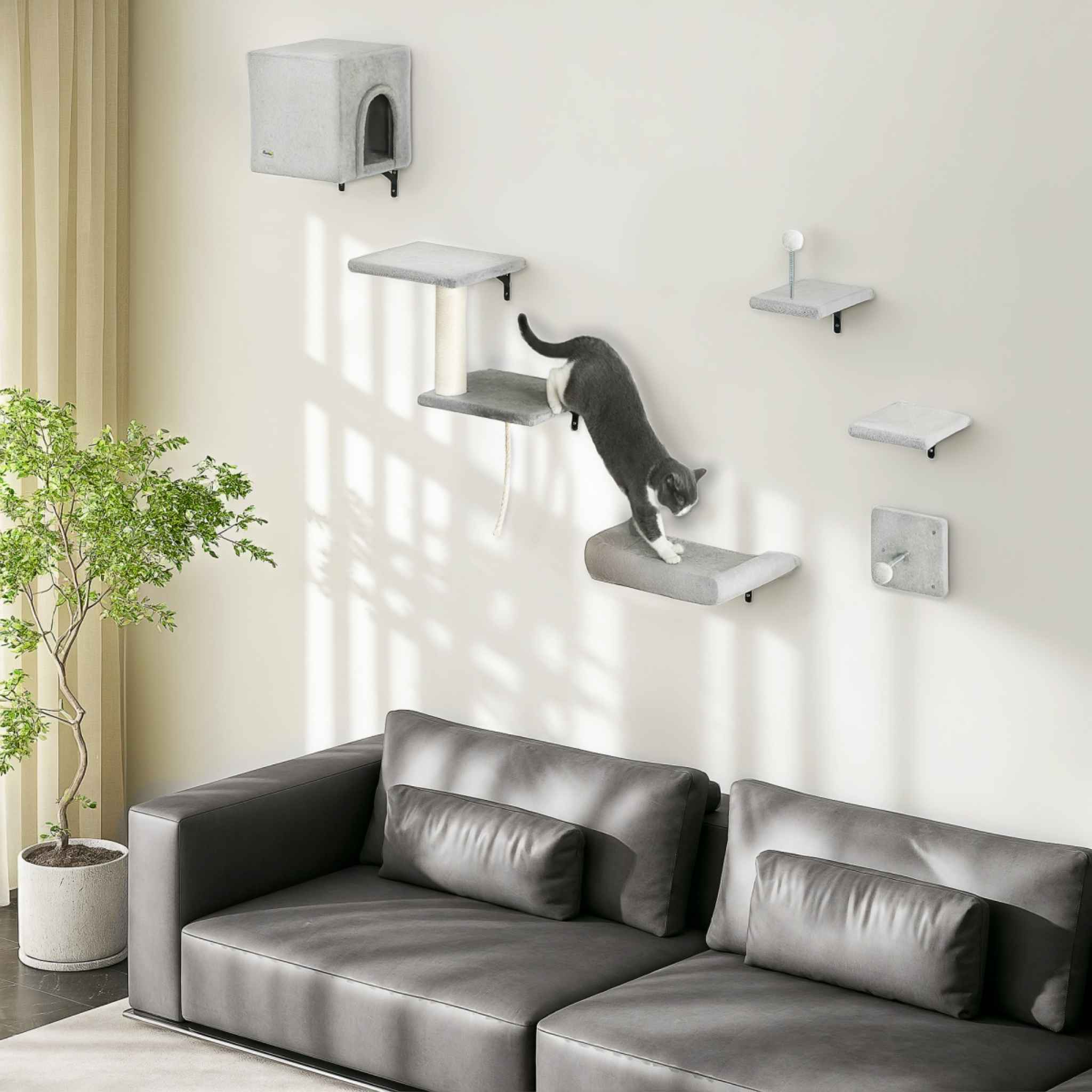 Cat playing on 6pcs wall mounted cat tree