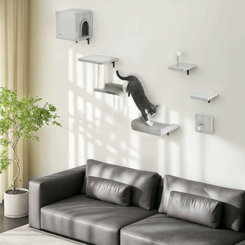 Cat playing on 6pcs wall mounted cat tree
