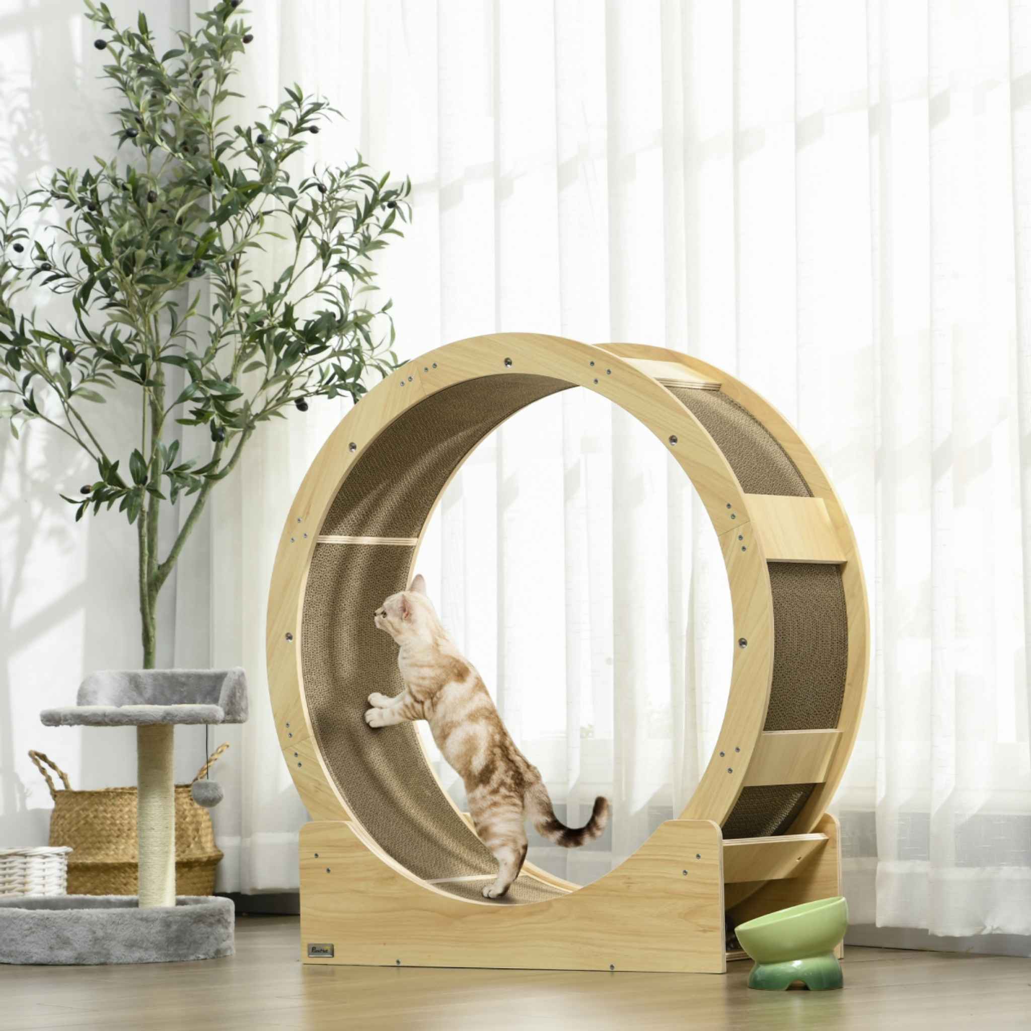 Cat playing on scratching wheel