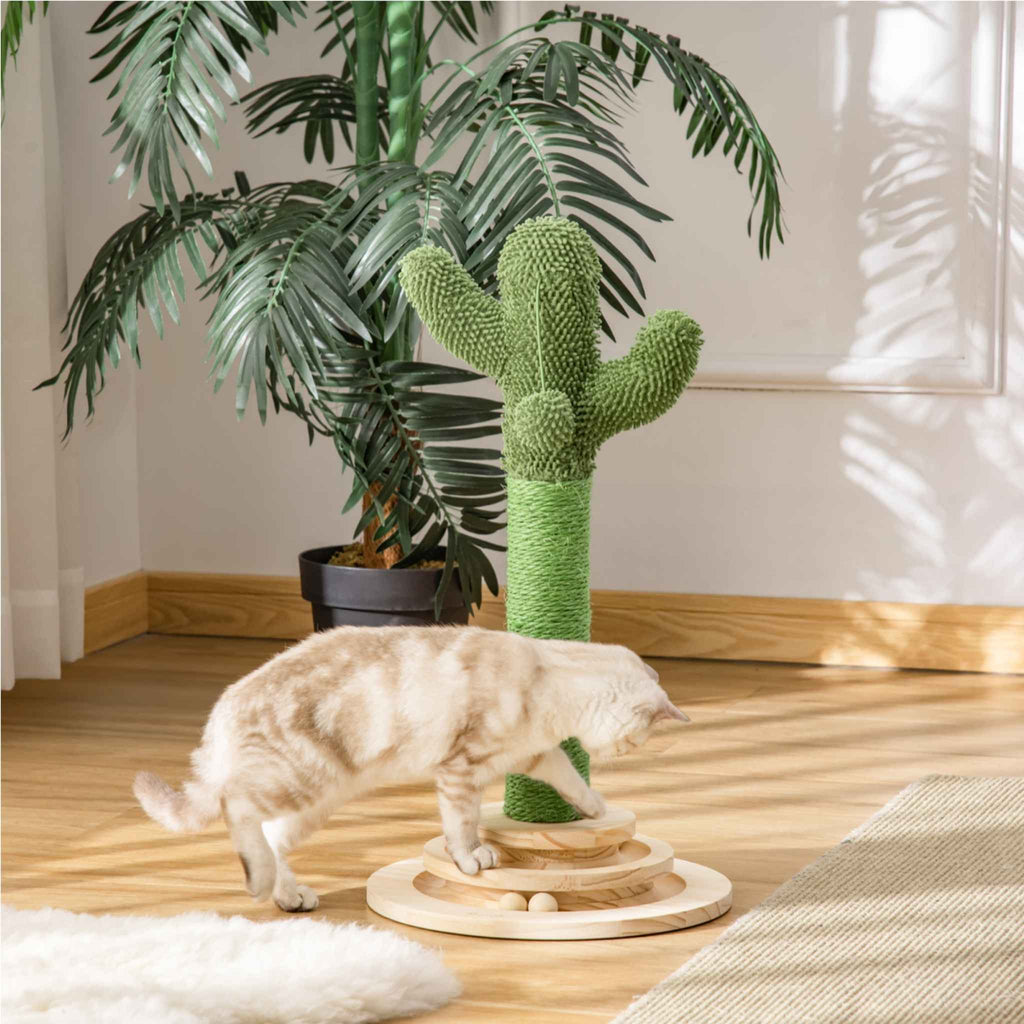 Cat playing with cactus scratcher