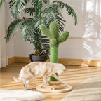 Cat playing with cactus scratcher