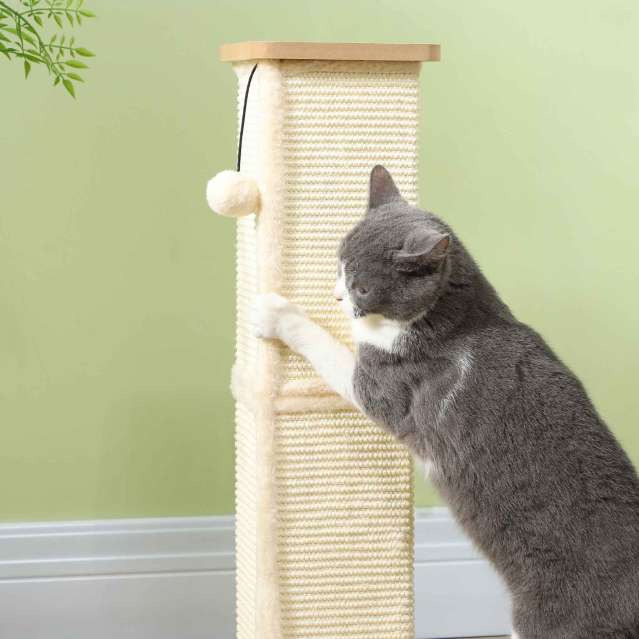 Cat playing with dangling toy on sisal post