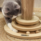Cat playing with interactive ball toy
