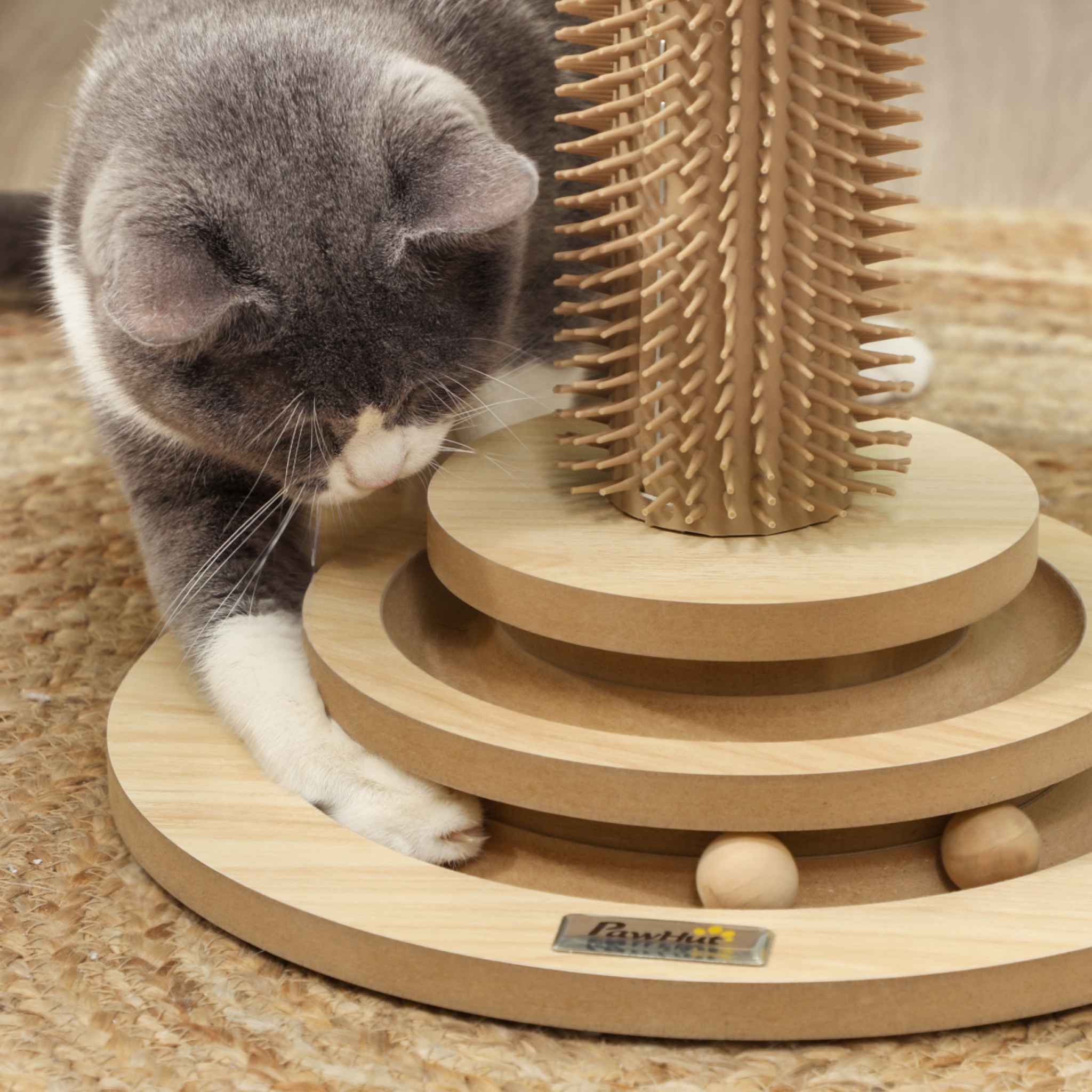 Cat playing with interactive ball toy