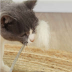 Cat playing with interactive feather toy