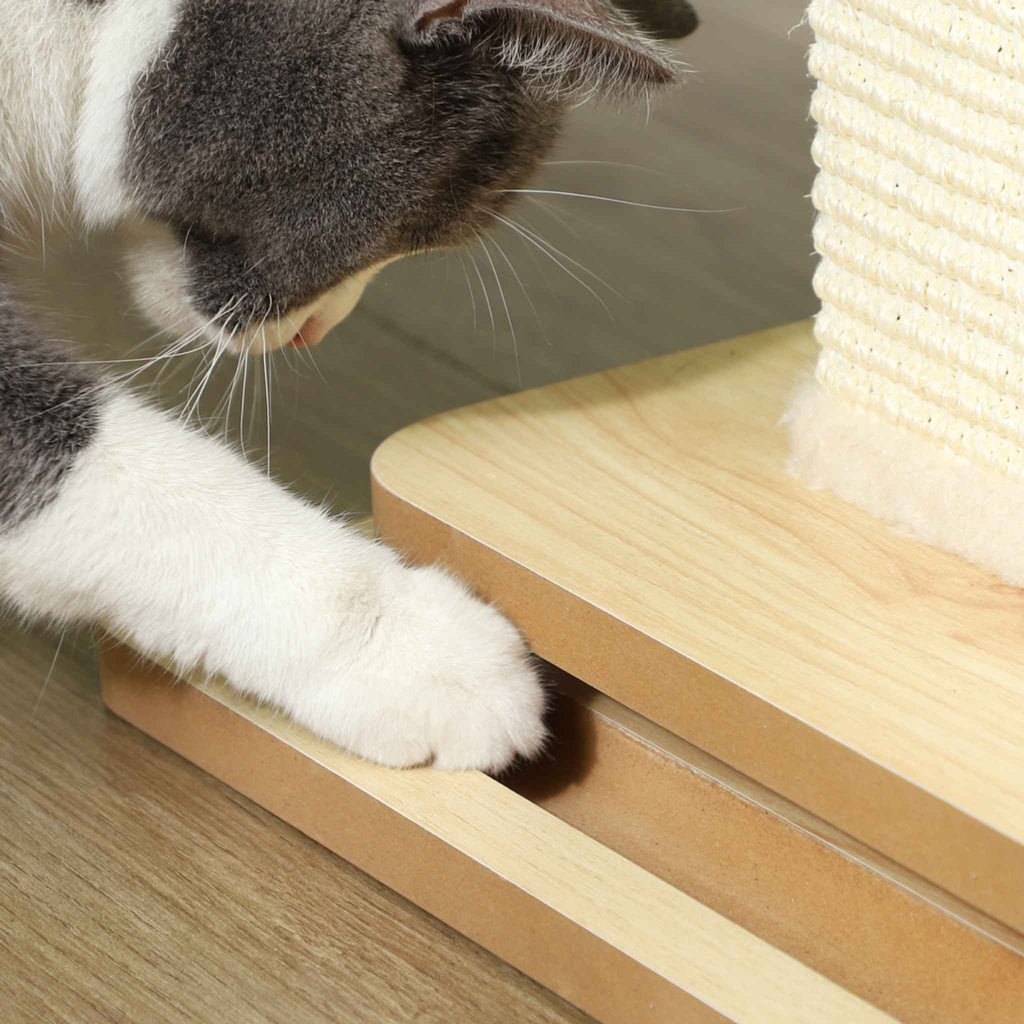 Cat playing with interactive toy on cat scratcher