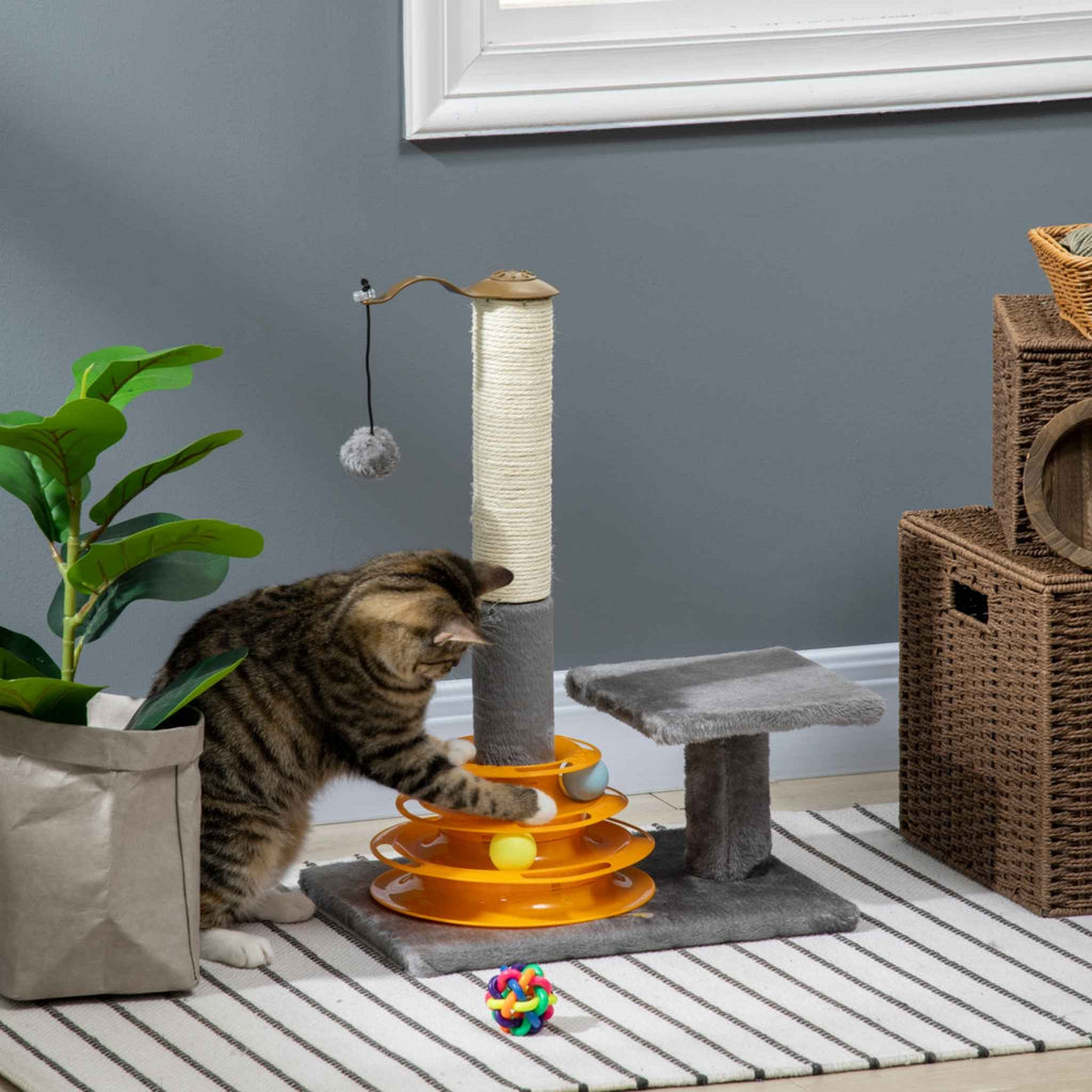 Cat playing with interactive toy