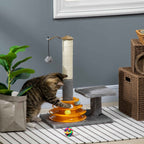 Cat playing with interactive toy